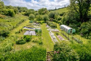 Kitchen Garden- click for photo gallery